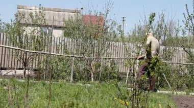 Yaşlı çiftçi yavaşça bitkiler ile yatak boyunca geçer