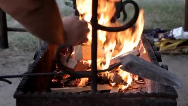 Vers brandhout wordt in de vuurkorf gegooid — Stockvideo