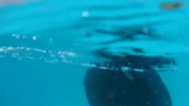 havuzda şapka sualtı video