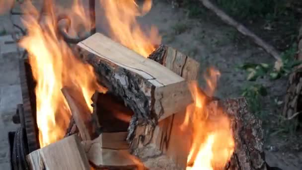 燃える木の明るい火 — ストック動画