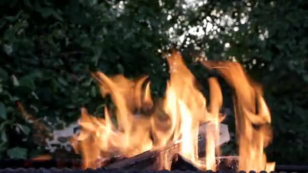 明るい火がグリルで燃えている — ストック動画