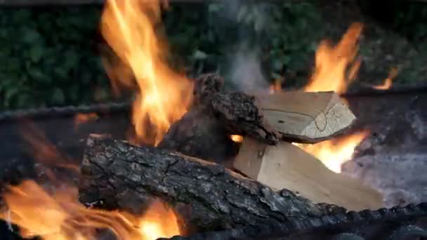 Male Hand Puts Firewood Burning Grill — Stock Video