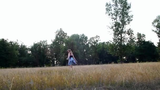 Mujer encantada en un vestido colorido corre en el prado — Vídeos de Stock