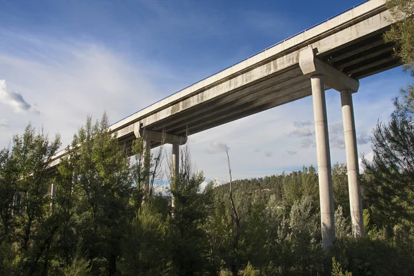 Een Brug Het Woud Rechtenvrije Stockafbeeldingen