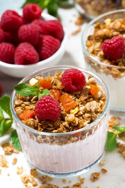 Dessert Met Zelfgemaakte Muesli Verse Frambozen Fruit Natuurlijke Yoghurt Close — Stockfoto