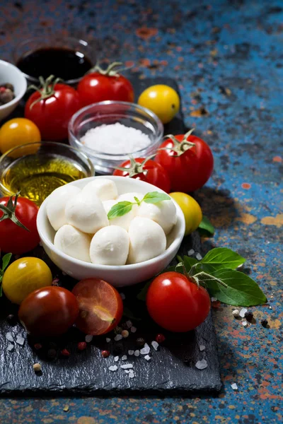 Mozzarella peyniri, taze sebze ve baharat ve koyu arka plan, dikey