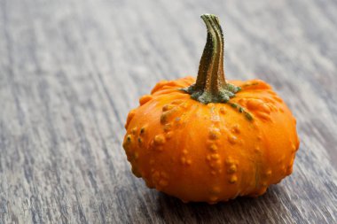 Ahşap arka plan, portre, yatay dekoratif kabak