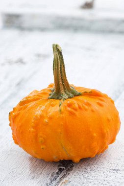 Dekoratif turuncu beyaz ahşap zemin, portre, dikey, en iyi görünümü üzerinde kabak