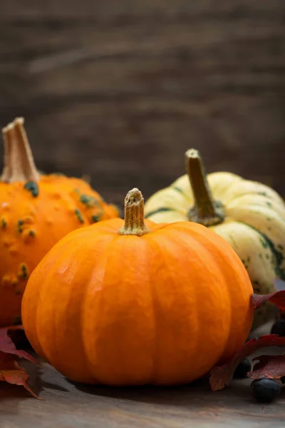 Composition Pumpkins Autumn Leaves Closeup Vertical Photo — Stock Photo, Image