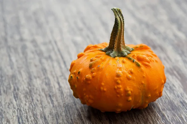 Ahşap arka plan, portre, yatay dekoratif kabak