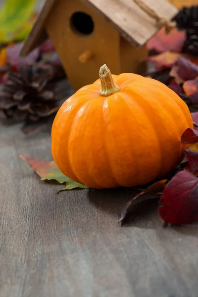 Composition Seasonal Pumpkin Autumn Leaves Wooden Background Vertical Closeup — Stock Photo, Image