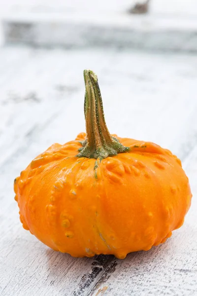 Dekoratif turuncu beyaz ahşap zemin, portre, dikey, en iyi görünümü üzerinde kabak