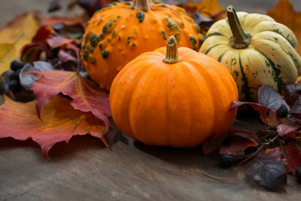 Seasonal Pumpkin Autumn Leaves Wooden Table Horizontal — Stock Photo, Image