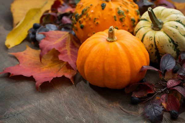 Seasonal Pumpkin Autumn Leaves Closeup — Stock Photo, Image