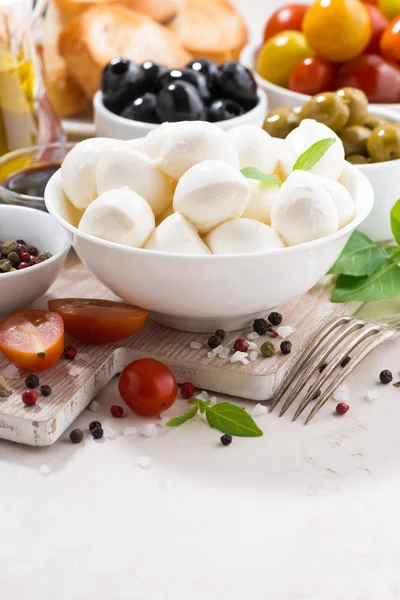 Ingredientes Para Ensalada Con Mozzarella Vertical Primer Plano — Foto de Stock