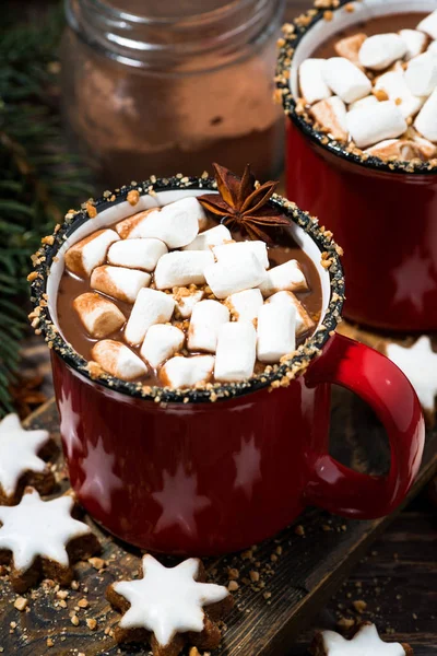 Уютный Зимний Напиток Горячий Шоколад Вертикальный — стоковое фото