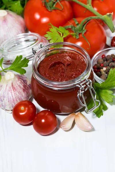 Salsa de tomate fresco e ingredientes, vista superior vertical — Foto de Stock