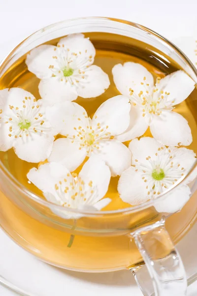 Tasse en verre de thé vert parfumé frais avec du jasmin — Photo