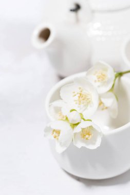 beyaz pialat, çay ve yasemin. japon çay partisi, dikey