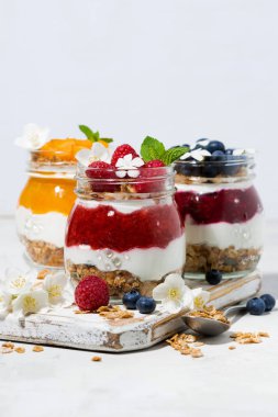 kavanozlarda granola, berry ve meyve püresi ile tatlılar 