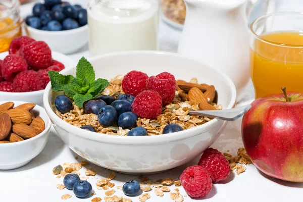 Healthy Breakfast Granola Fresh Berries Fruits Closeup Horizontal — Stock Photo, Image