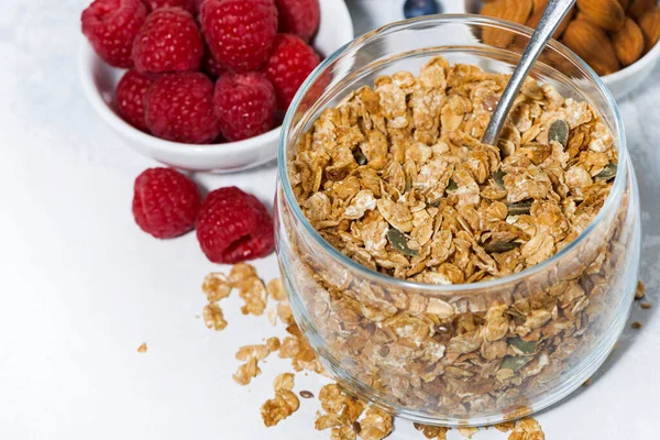 Sağlıklı Kahvaltı Beyaz Arka Planda Granola Taze Böğürtlen Yatay Yakın — Stok fotoğraf