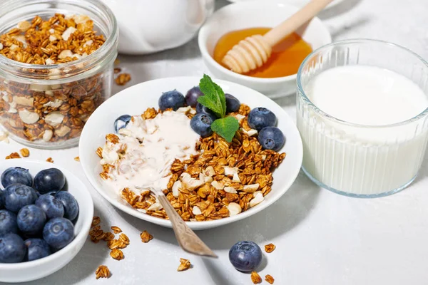 Granola Coco Casero Con Arándanos Yogur Para Desayuno Primer Plano — Foto de Stock
