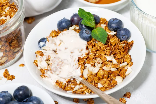 Granola Coco Casero Con Arándanos Yogur Vista Superior — Foto de Stock