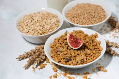 Sağlıklı yiyecekler için yulaflardan üretilen ürünler, yatay olarak yakın çekim