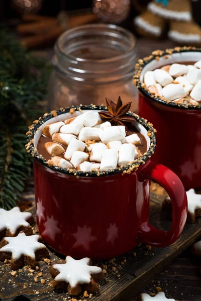 Cozy Winter Drink Hot Chocolate Closeup — Stock Photo, Image