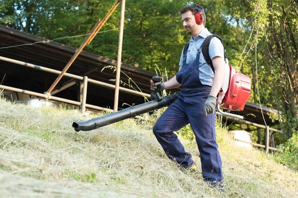 Jardineiro Limpando Folhas Usando Uma Ferramenta Ventilador Folha — Fotografia de Stock