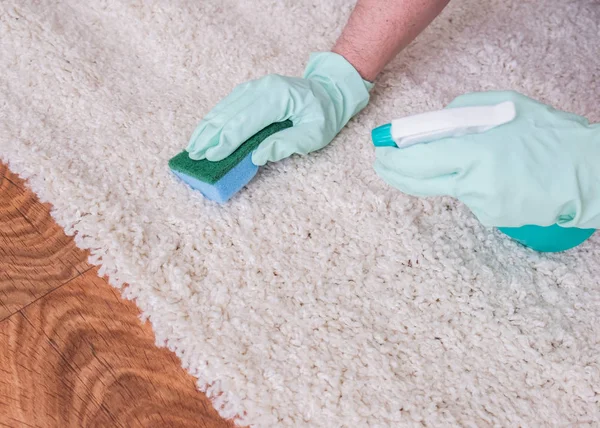 Close up hands cleaning white carpet floor with sponge