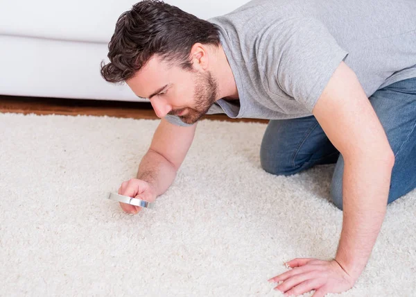 Man Checking Carpet Dust Mites Bug Parasites — Stock Photo, Image