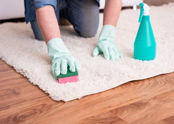 Cleaning Carpet Stains Using Sponge Spot Remover — Stock Photo, Image