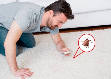 Halı toz akarları ve hata parazitler için kontrol adam