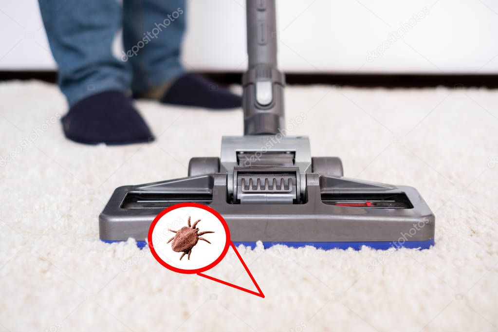 Close up of vacuum cleaner cleaning dirty carpet