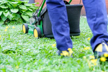 Bahçe çimlerini kesen adama yakın plan çim biçme makinesine odaklanıyor.