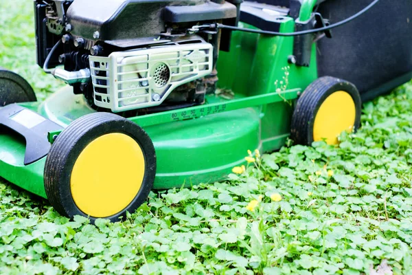 Man mowing the lawn with lawnmower close up