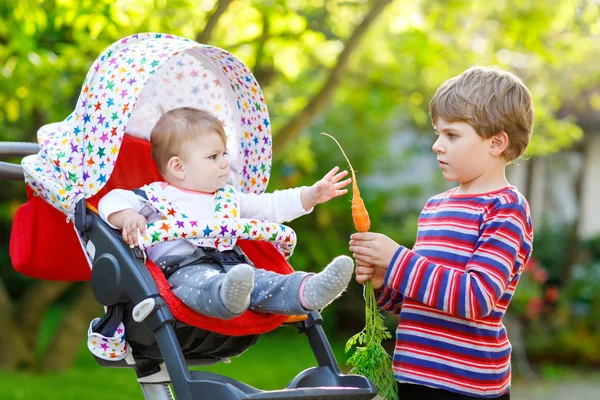 Little blond kid boy giving a carrot to baby sister. Happy siblings having healthy snack. Baby girl sitting in pram or stroller. — Stock Photo, Image