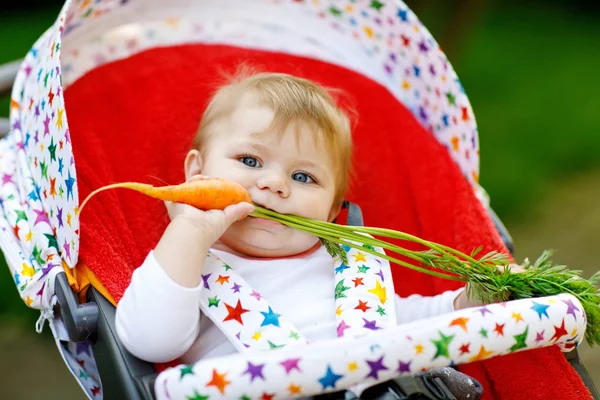 Liten blond liten pojke ger en morot till lillasyster. Glada syskon ha hälsosamt mellanmål. Baby flicka sitter i barnvagn eller sittvagn. — Stockfoto