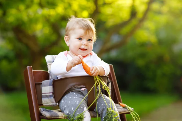 Liten blond liten pojke ger en morot till lillasyster. Glada syskon ha hälsosamt mellanmål. Baby flicka sitter i barnstol — Stockfoto