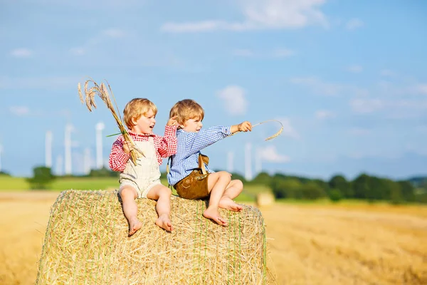 Two little kid boys, twins and siblings sitting on warm summer day on hay stack — Stock Photo, Image