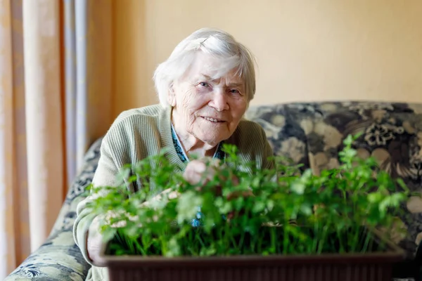 Ανώτερος γυναίκα 90 ετών μαϊντανό πότισμα με νερό στο σπίτι μπορεί να — Φωτογραφία Αρχείου