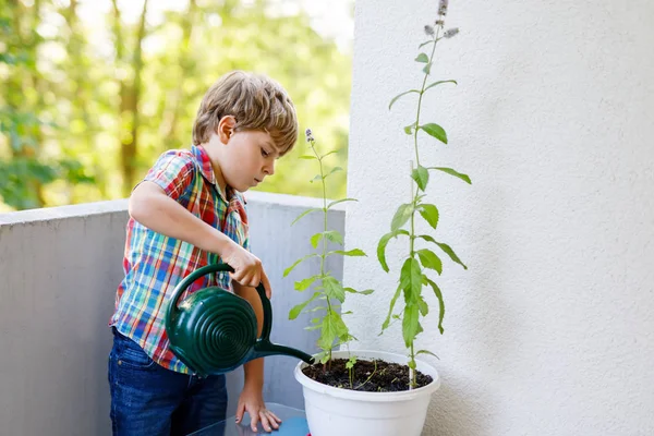 Pequeño niño preescolar activa regar las plantas con agua puede en casa en balcón — Foto de Stock