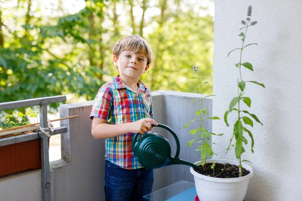 Aktiva lilla förskola kid boy vattning växter med vatten kan hemma på balkongen — Stockfoto