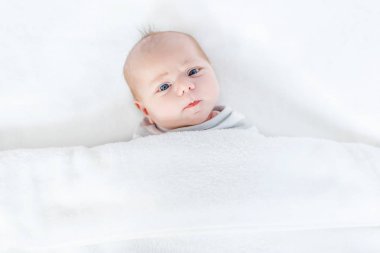 Sevimli, tapılası yeni doğmuş bebek portresi