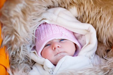 Sıcak kış giysileri içinde uyuyan yeni doğan bebek portresi