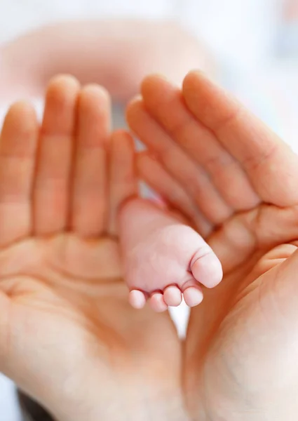 Ojciec lub matka trzyma stopy noworodka — Zdjęcie stockowe