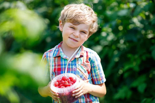 Söt liten unge plocka färska bär på hallon fält. — Stockfoto