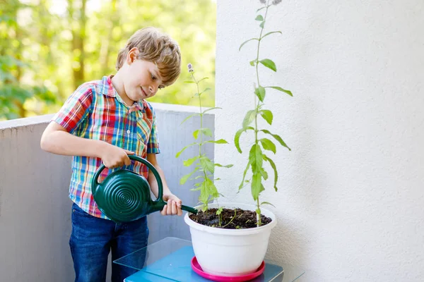 Pequeño niño preescolar activa regar las plantas con agua puede en casa en balcón —  Fotos de Stock